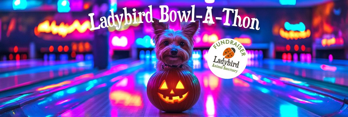 Ladybird Bowl-A-Thon