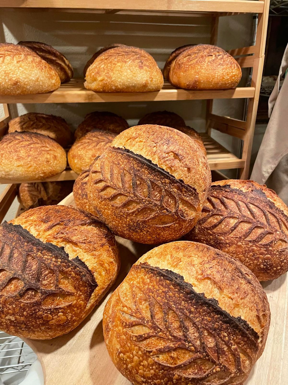 Beginners Sourdough Class