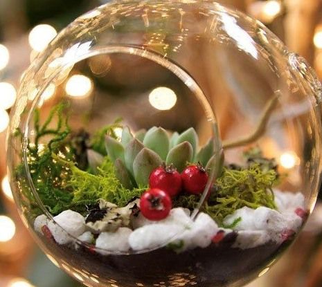 Holiday Terrarium Ornament Workshop!