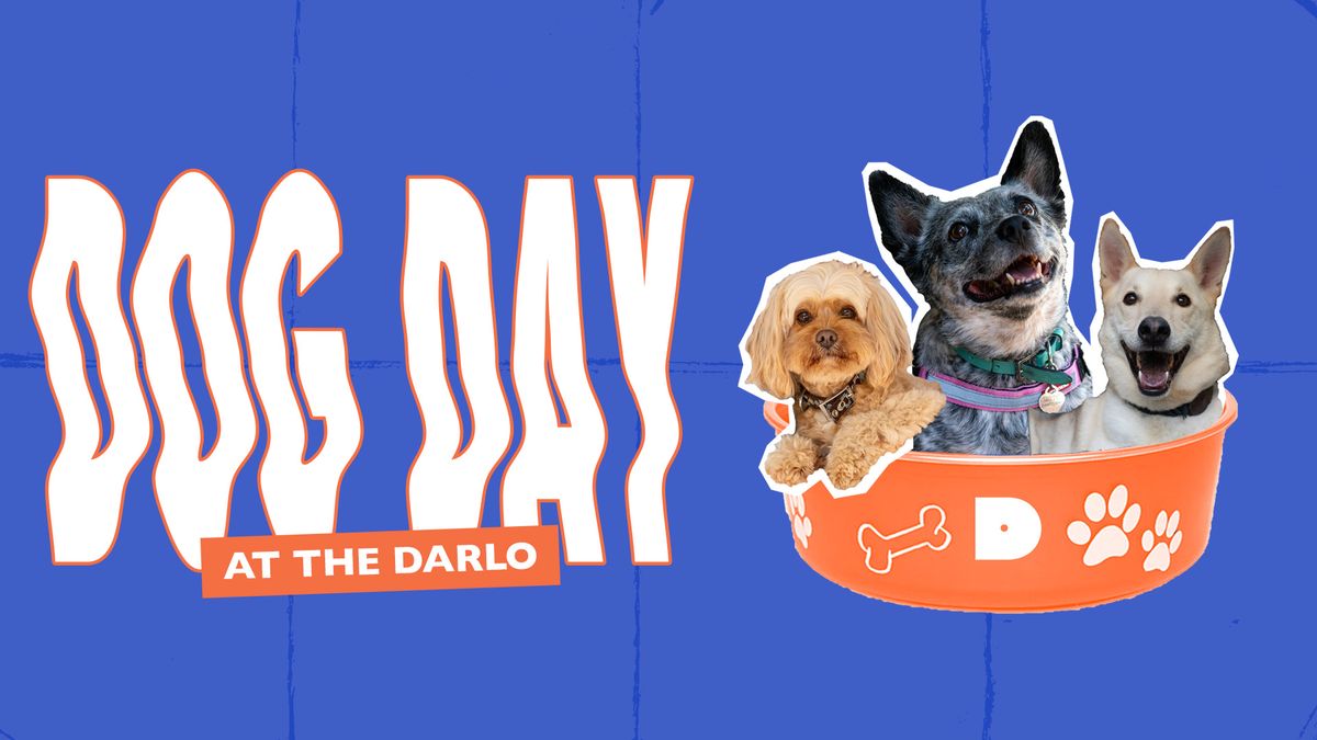 Darlo Dog Day