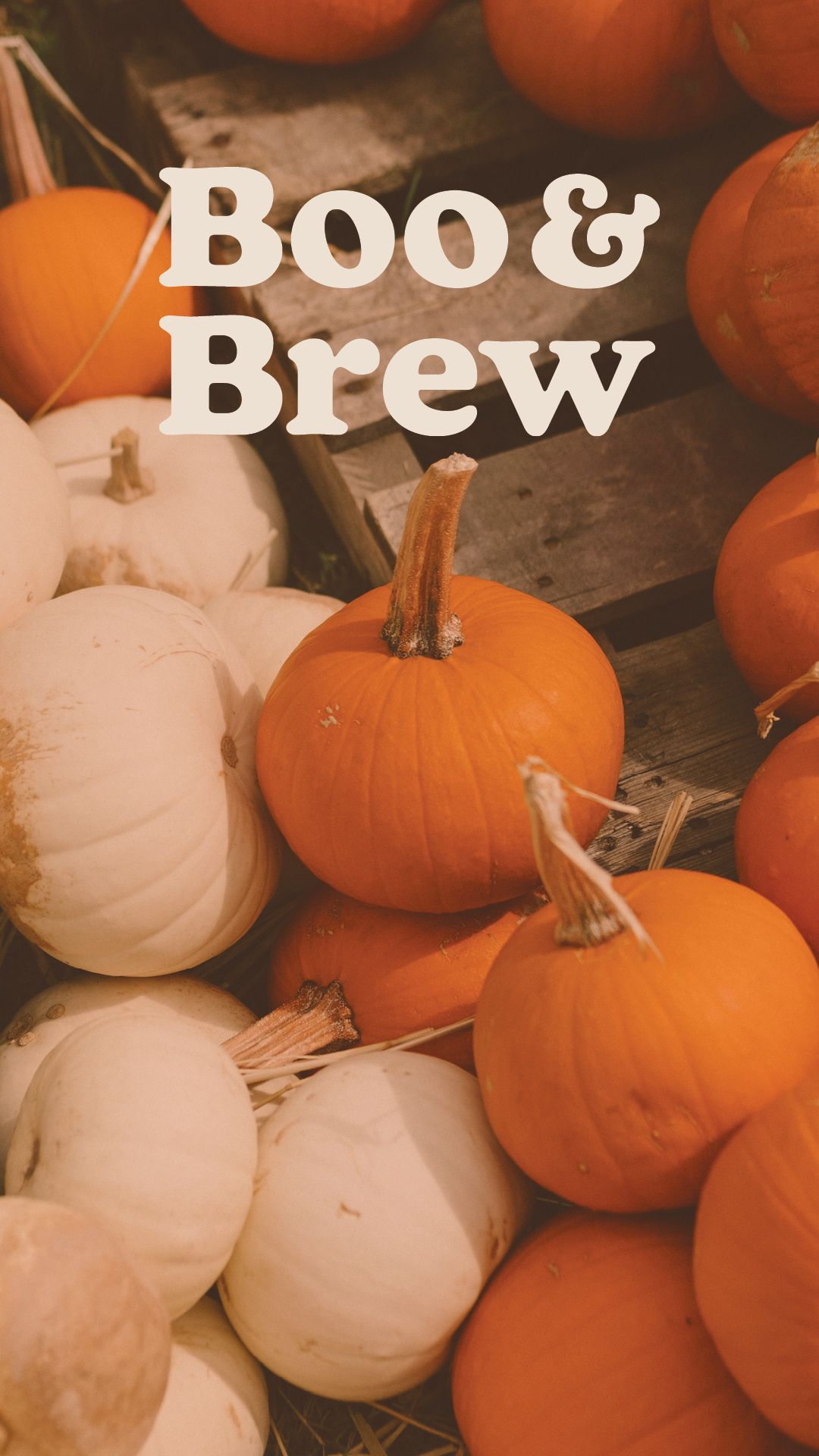 Boo & Brew