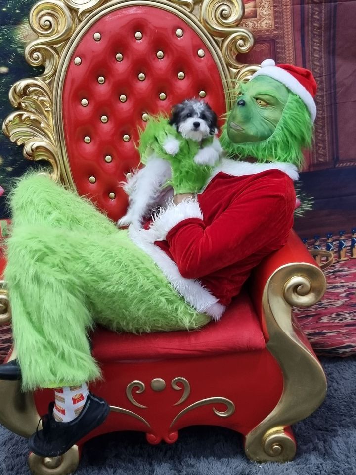 The Grinch Christmas Pet Photos