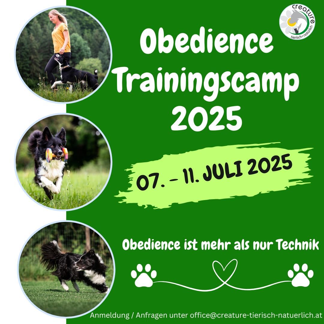 Obedience Trainingscamp 2025