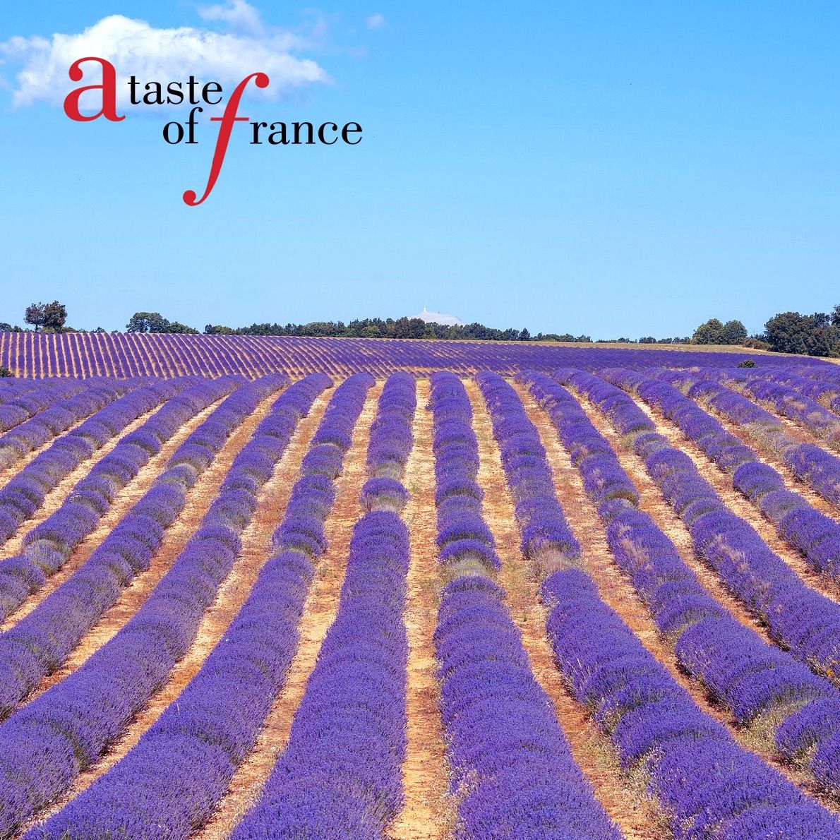 A Taste of France: Provence