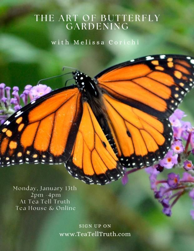 The Art of Butterfly Gardening