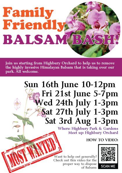Family Friendly Balsam Bashing in Highbury