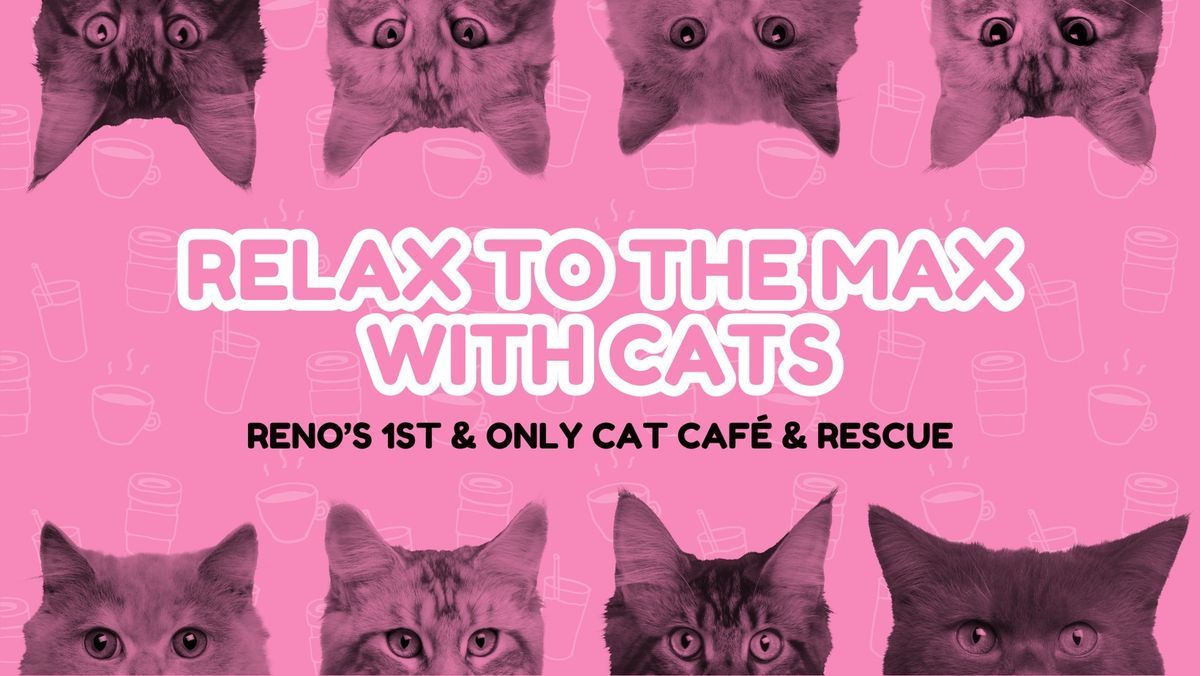 The Cat's Meow Bingo Brunch