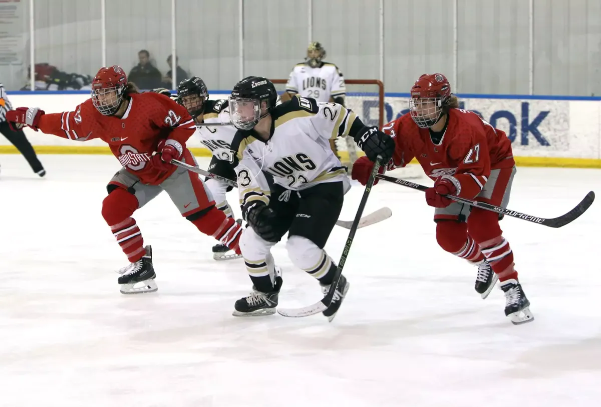 Lindenwood Lions at Mercyhurst Lakers Womens Hockey