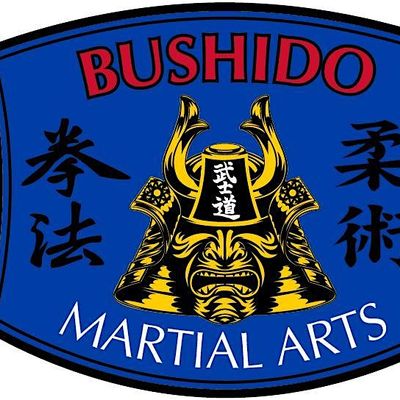 Bushido Martial Arts & Fitness
