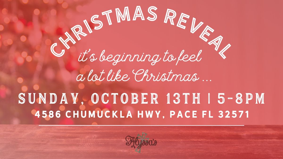 Christmas Reveal