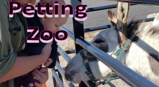 Petting Zoo