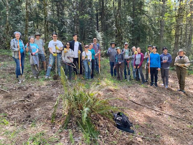 Green Issaquah: Restoration Work Party at Park Pointe