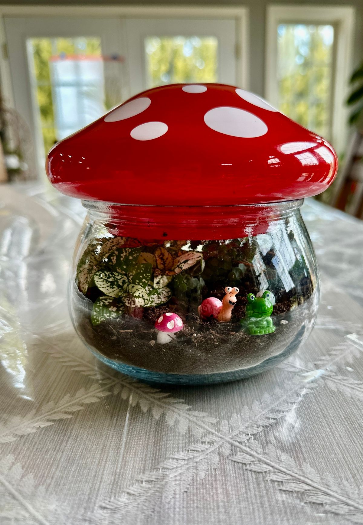 Mushroom Terrarium drop in event