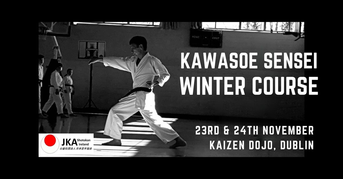 JKASI Kawasoe Sensei Winter Course