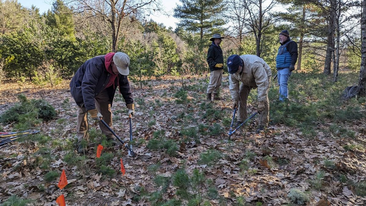 Coolbough Natural Areas TLC Volunteer Workday