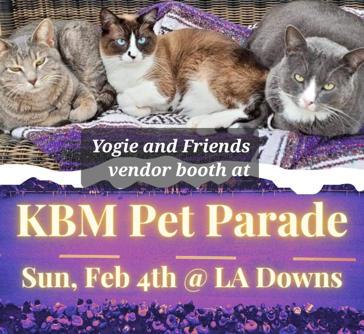 Yogie Booth at KBM Annual Pet Parade