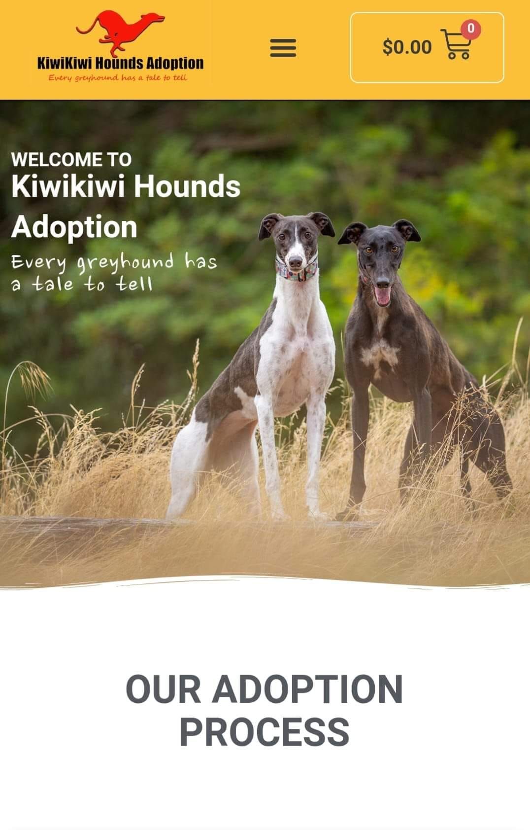 KIWIKIWI HOUNDS @ METHVEN A&P SHOW