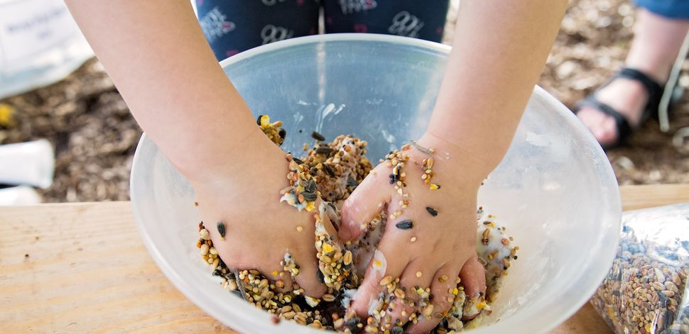 Nature Crafts at Cheadle Library