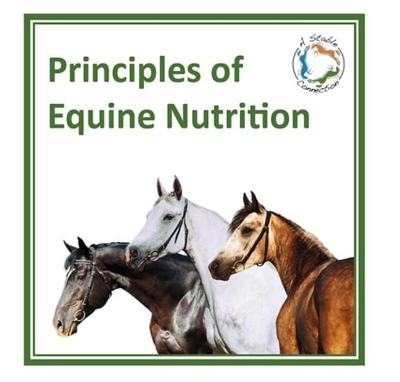 Principles of Equine Nutrition (A Stable Connection)