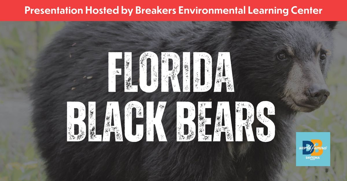 Florida Black Bears