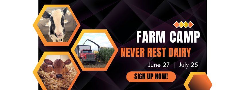 Never Rest Dairy Farm Camp