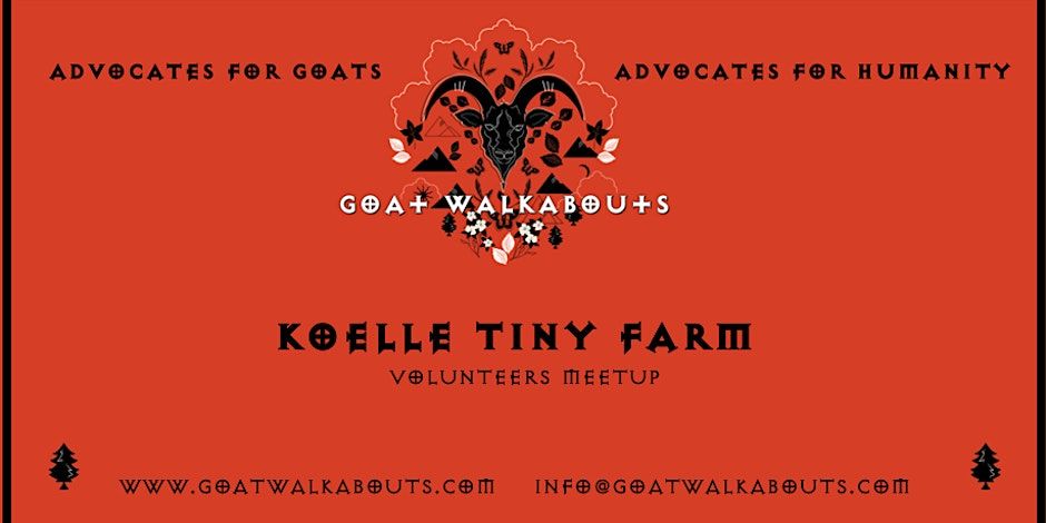 Goat Advocacy Day - March 4th (Koelle Tiny Farms)