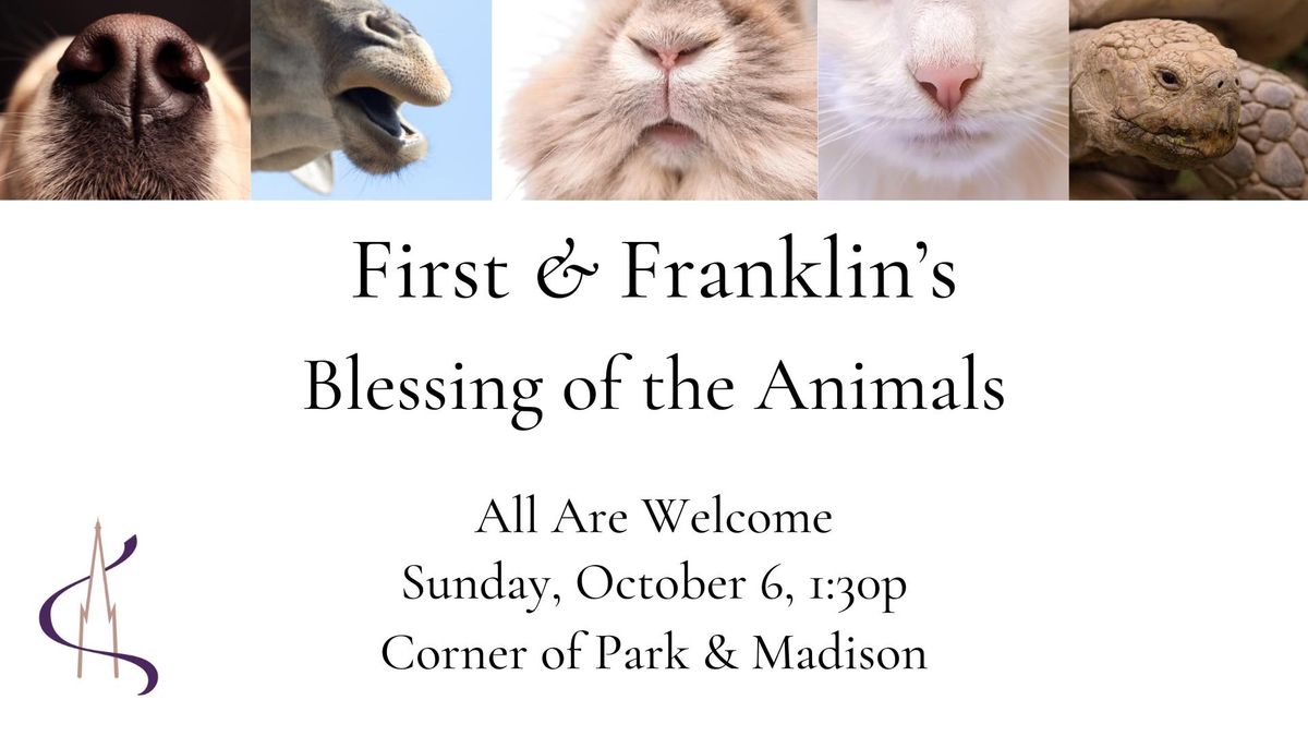 Blessing of the Animals