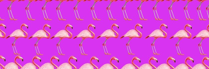 Free the Kitsch - Athens Film Fest