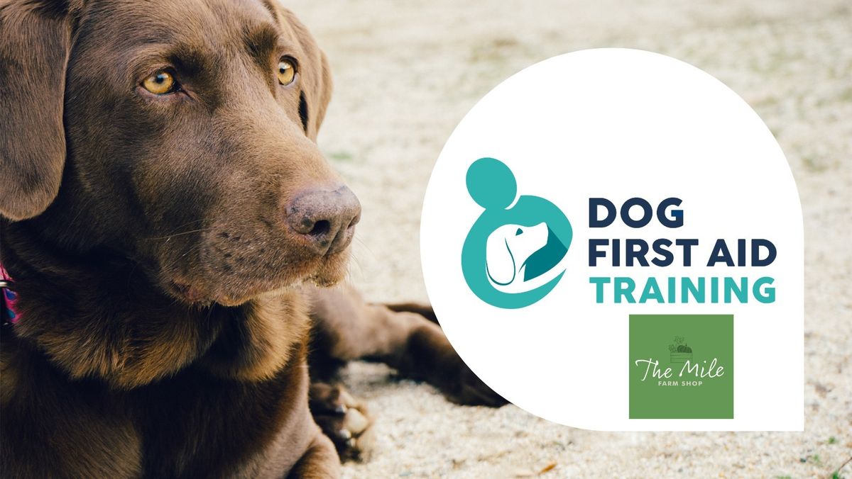 Emergency Dog First Aid Course - Hosted by The Mile Cafe & Emporium - \u00a360 per person