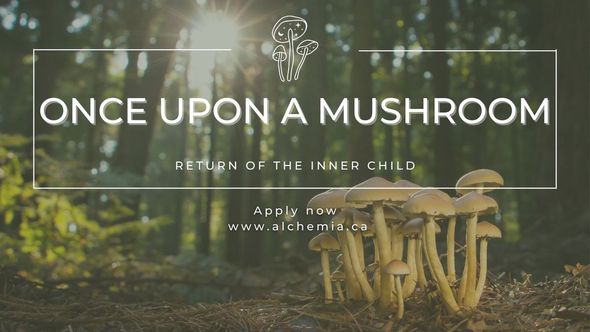 Once Upon a Mushroom: Return of the Inner Child