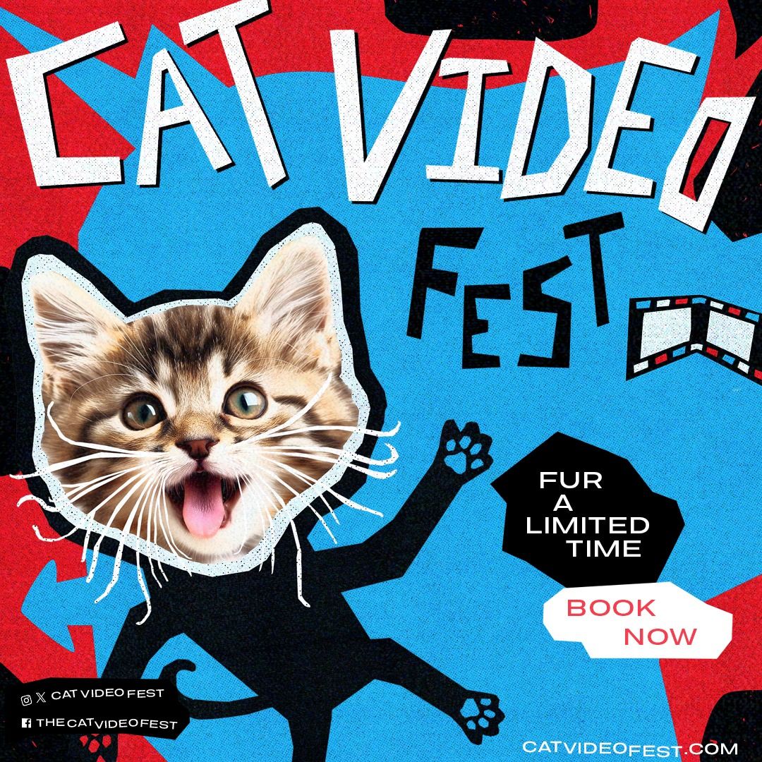 CatVideoFest