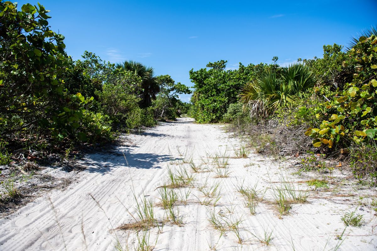 Bear Cut Preserve Guided Hike