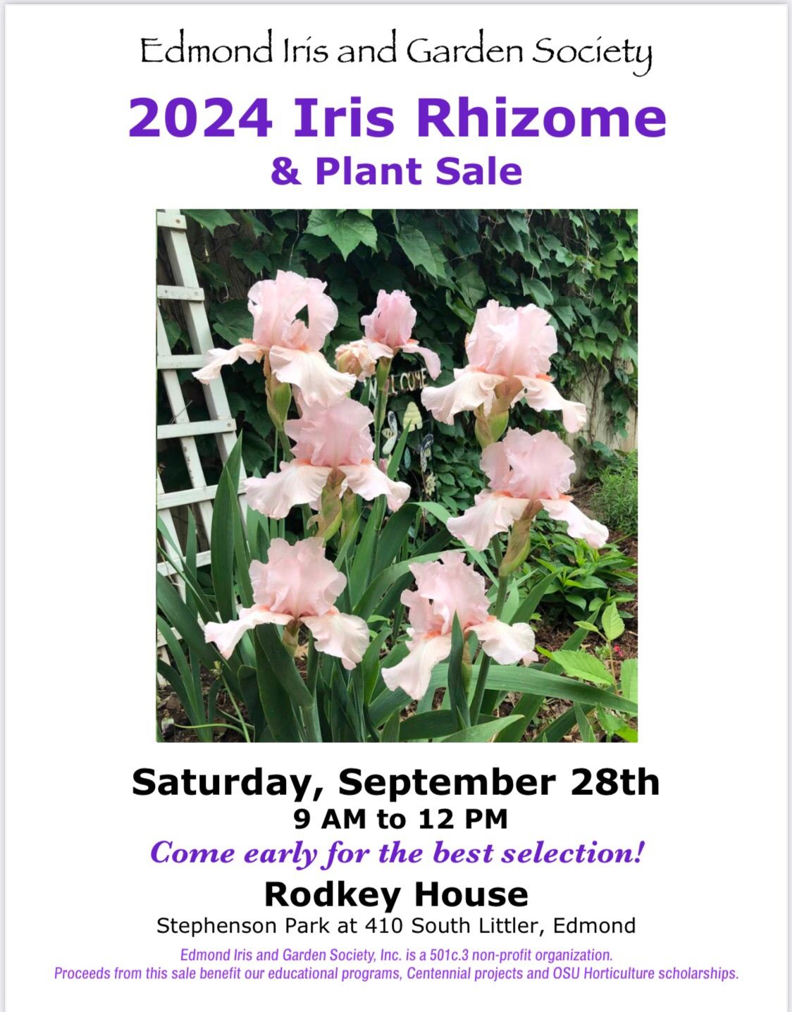 Iris Rhizome and Plant Sale