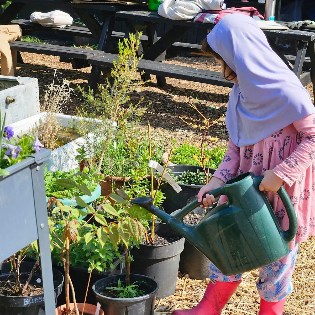 Paradise Nature Club: Grow Food Anywhere