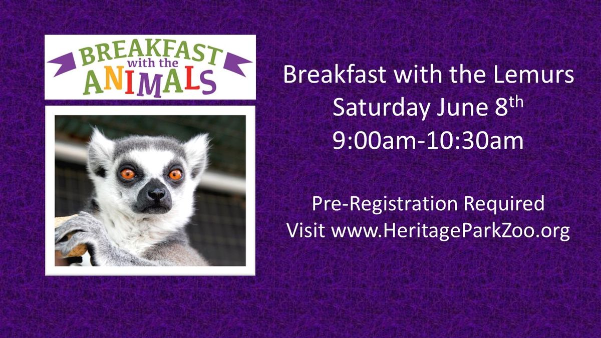 Breakfast with the Lemurs