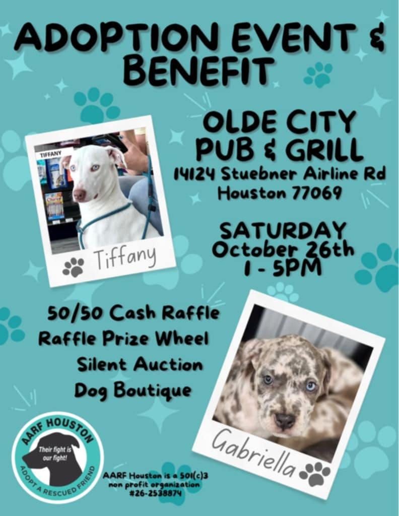 ADOPTION EVENT & BENEFIT