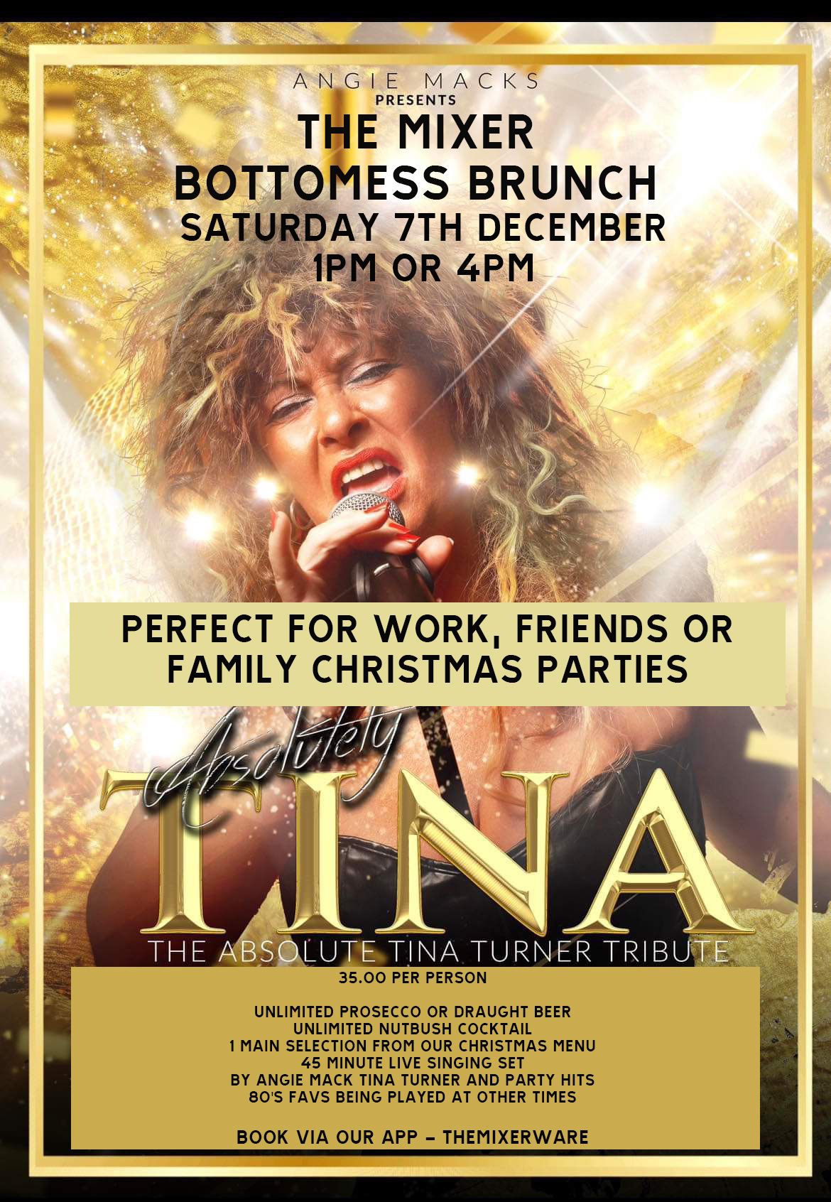 Tina Turner Brunch