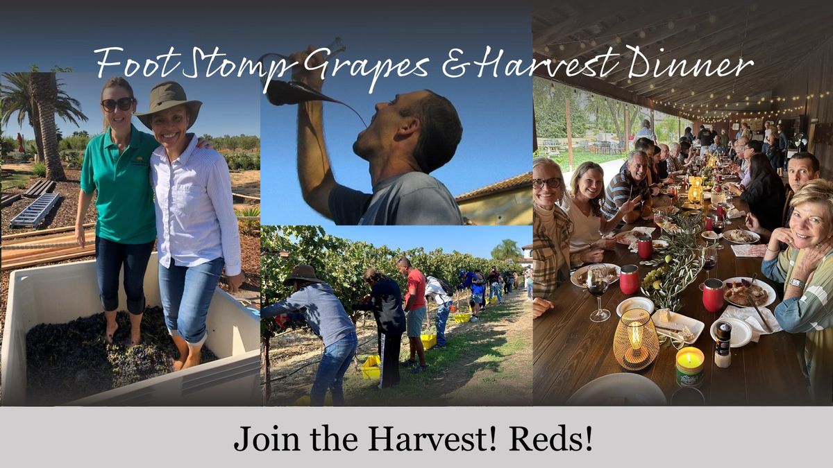 Join the Harvest - Foot Stomp Grapes!