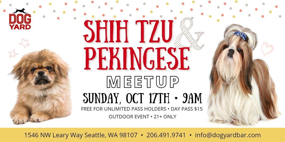 Shih Tzu & Pekingese + Mixes Meetup at the Dog Yard in Ballard