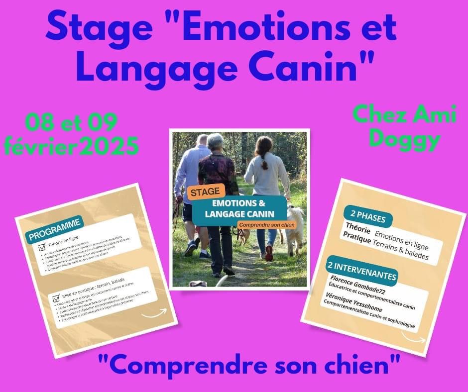 Stage Emotions et Langage Canin