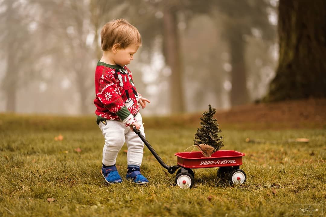 Mini Wagon Christmas Minis || Foristell, MO