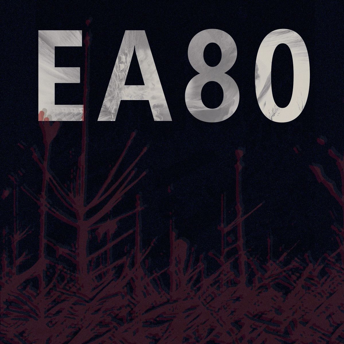 EA80 \/ 05.04.25 \/ N\u00fcrnberg