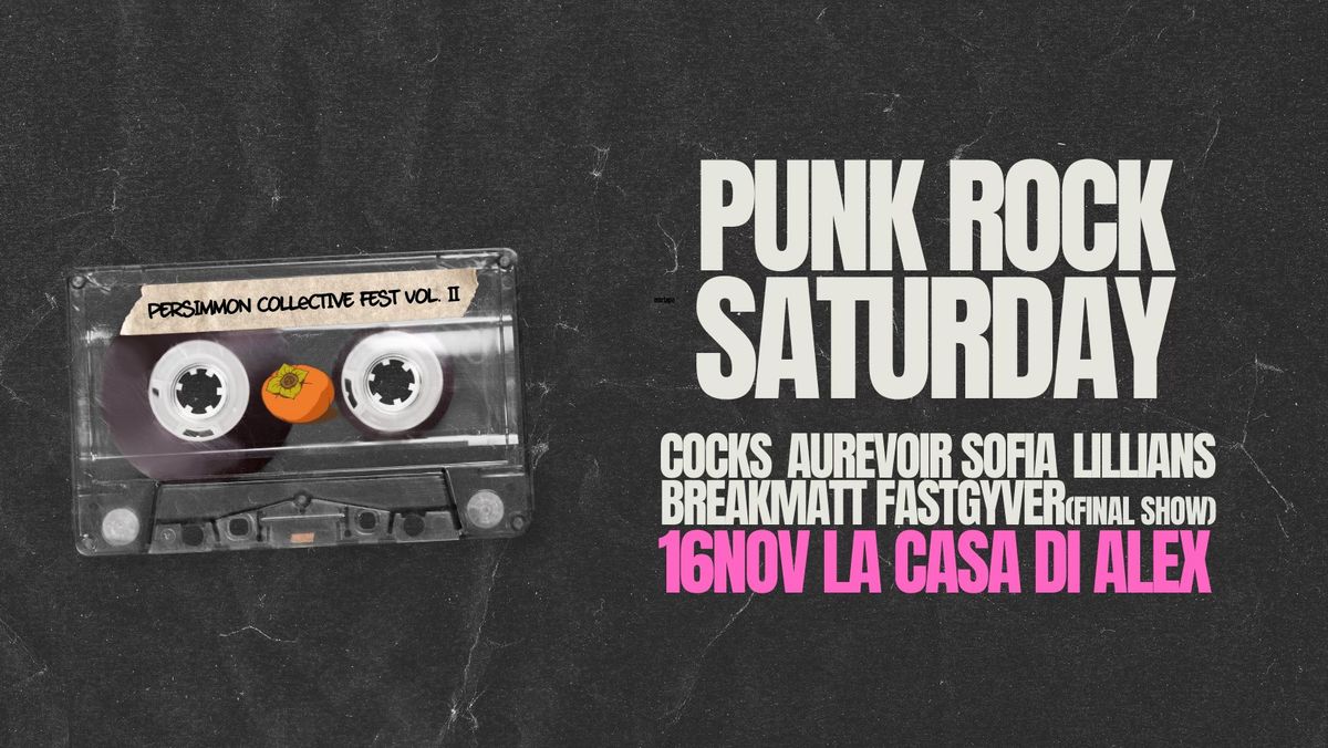 Punk Rock Saturday - COCKS + BREAKMATT FASTGYVER (final show!) + LILLIANS + AU REVOIR SOFIA