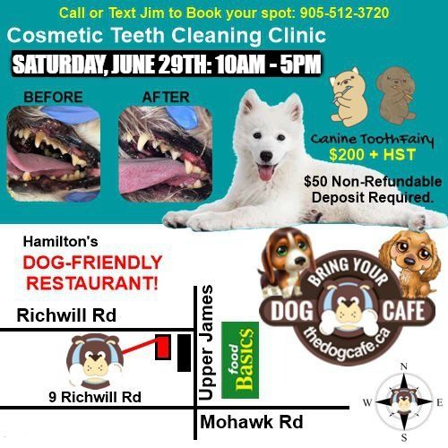 Cosmetic Teeth Cleaning Clinic