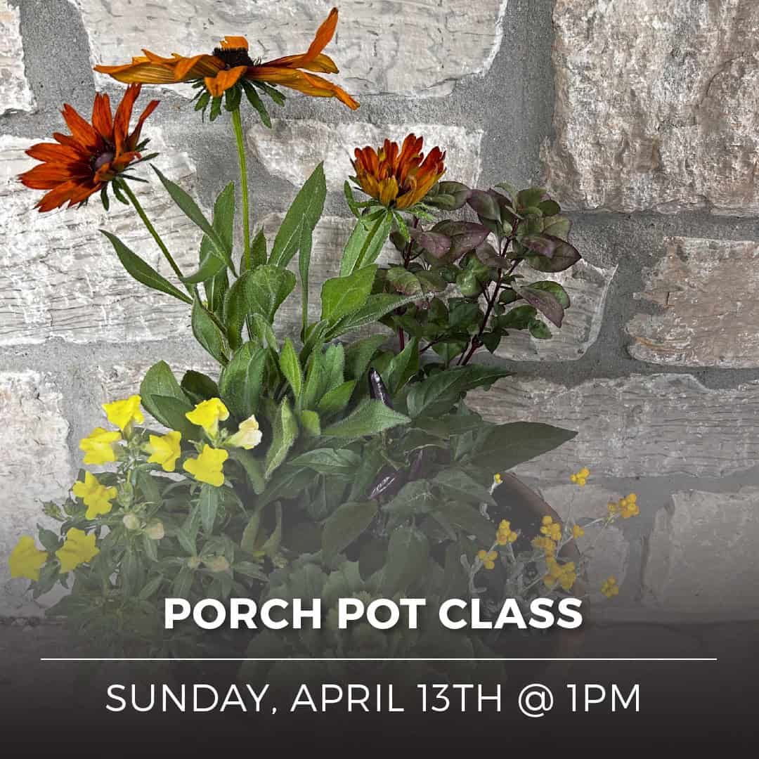 Porch Pot Class