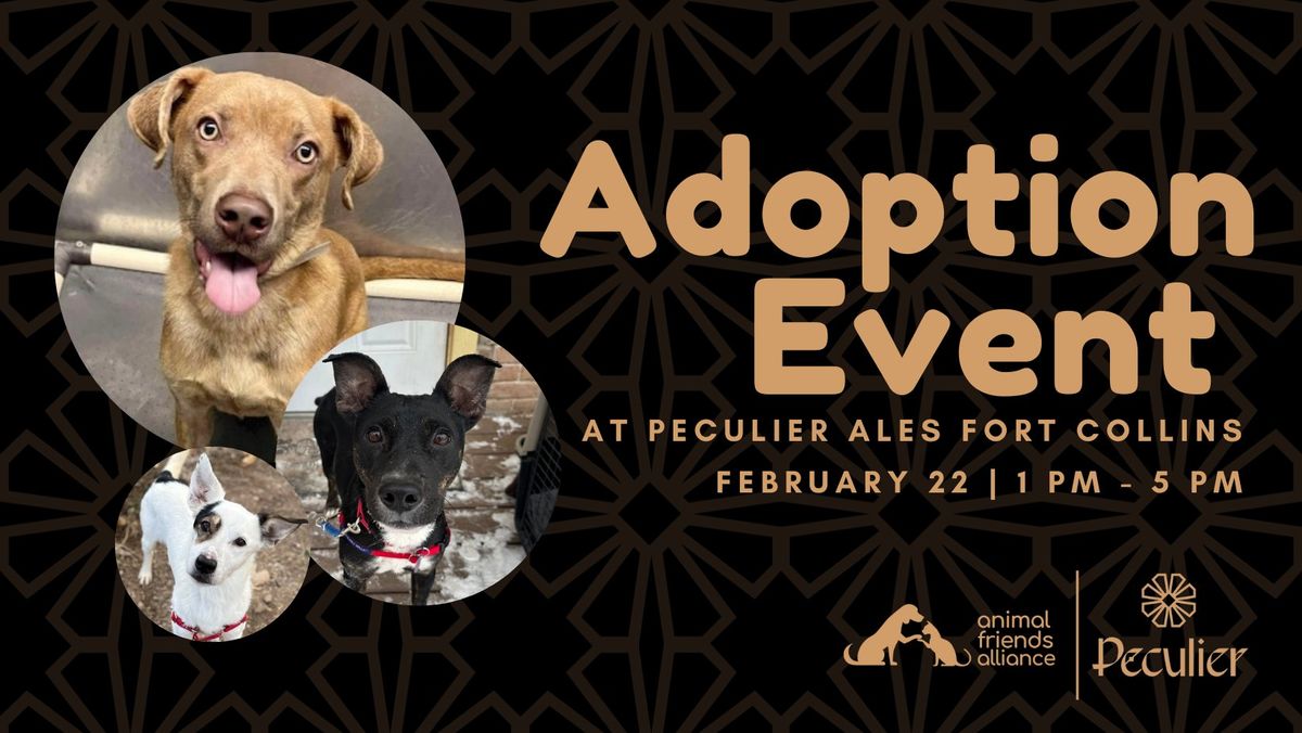 Dog Adoption Event at Peculier Ales Fort Collins \ud83d\udc36\ud83c\udf7a