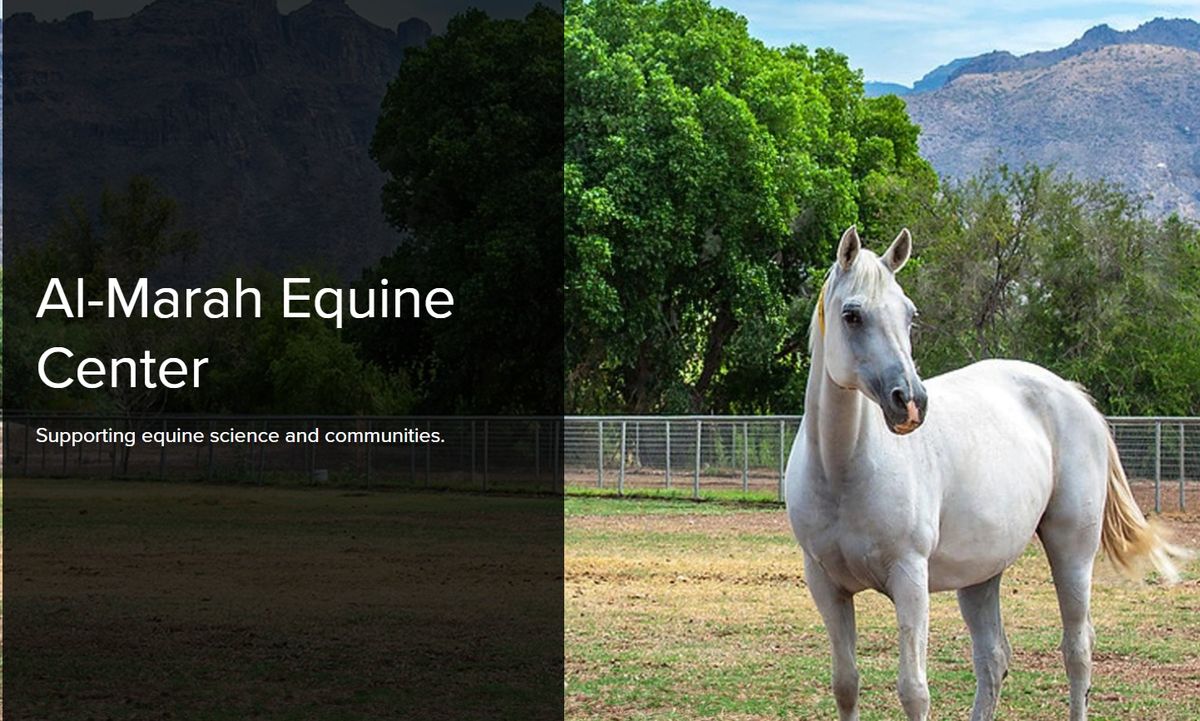 Informed Arizona Equestrian Horse Symposium