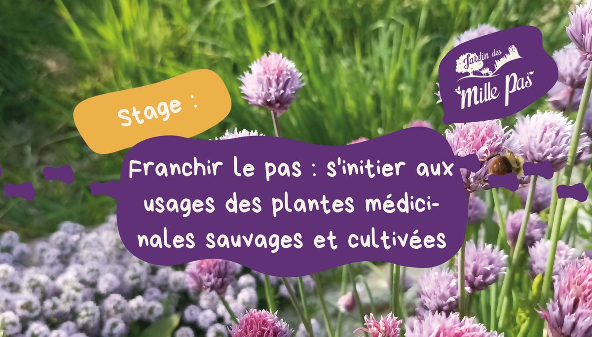 Stage 2 jours : s'initier aux usages des plantes m\u00e9dicinales sauvages et cultiv\u00e9es