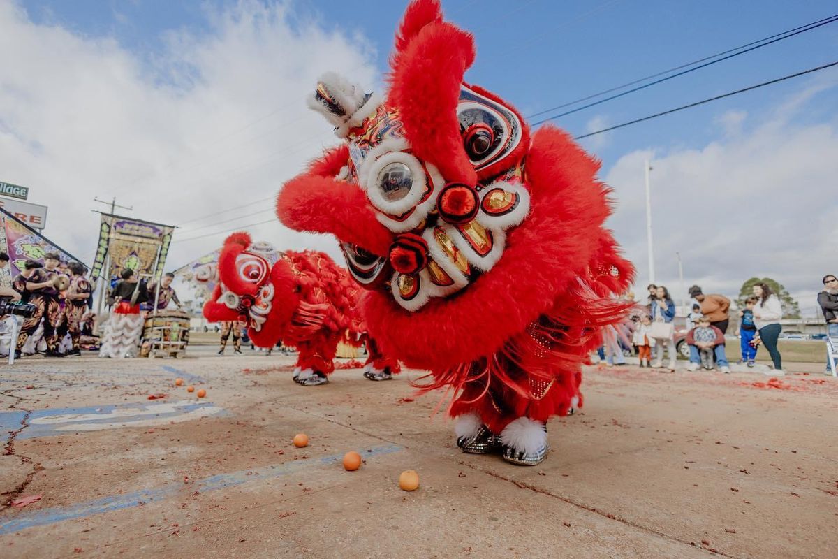 Pelican to Mars Lunar Fest! An Asian Street Market Festival