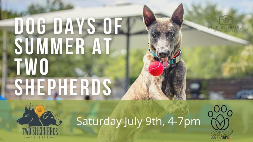 Dog Days of Summer at Two Shepherds Taproom